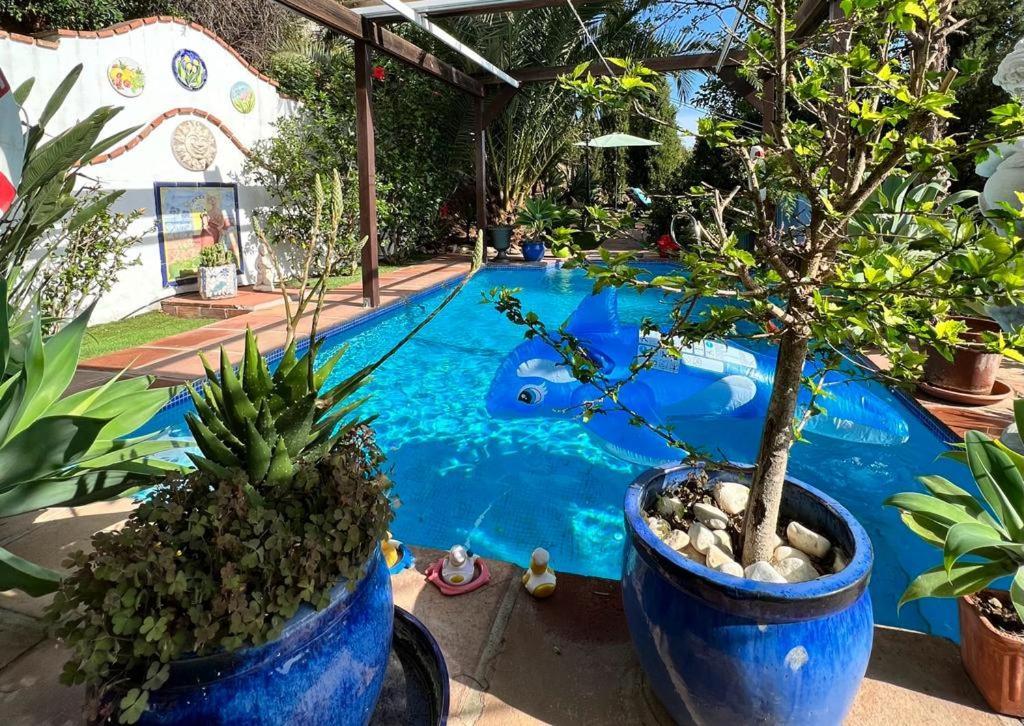 Mijas Pueblo Paradise Villa Malaga Ngoại thất bức ảnh